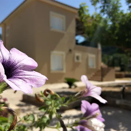 Eirini- Ioanna Apartment